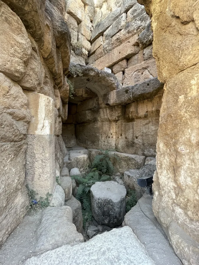 Libanon 2023 - IMG 2901