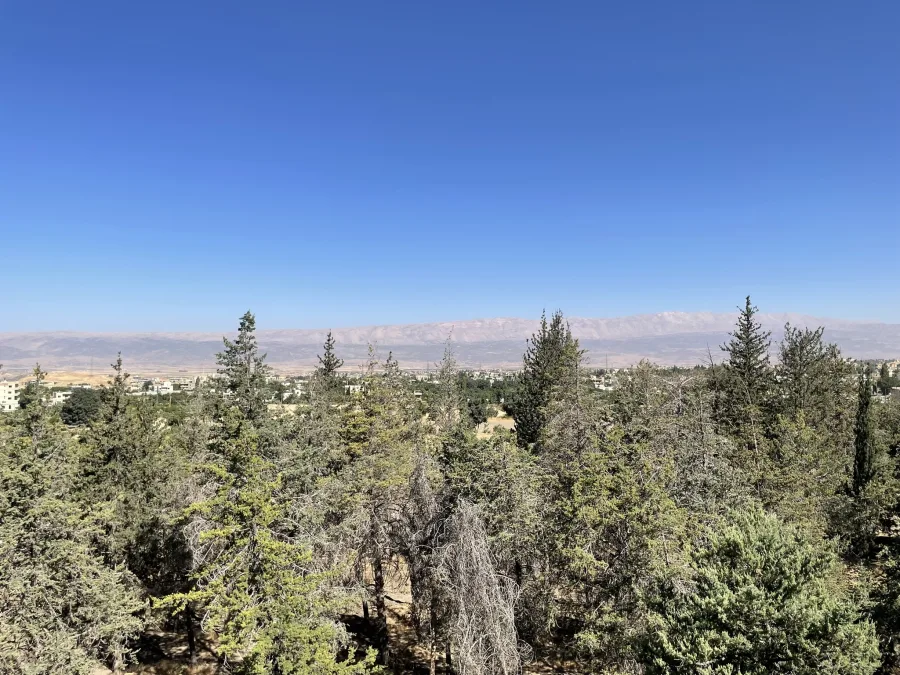 Libanon 2023 - IMG 2931