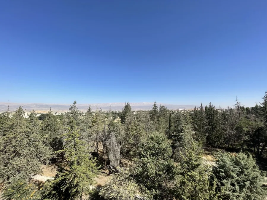 Libanon 2023 - IMG 2932