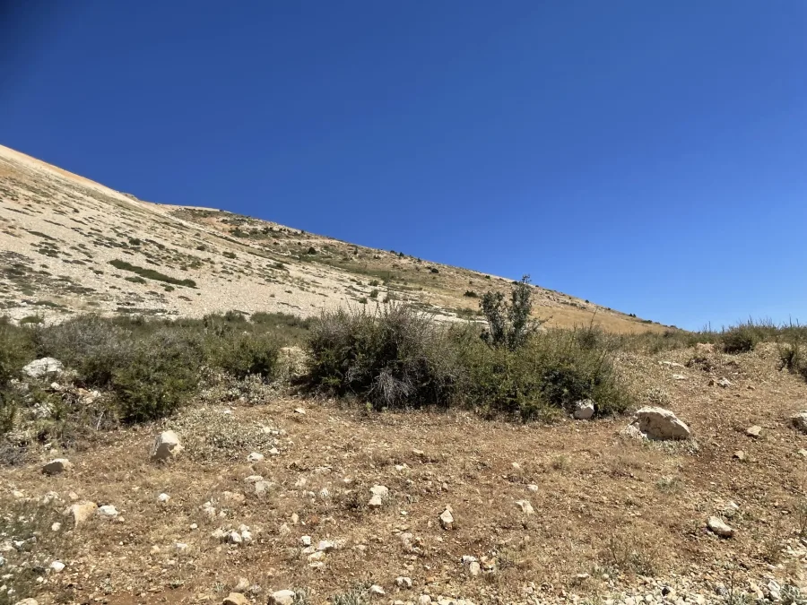 Libanon 2023 - IMG 3026
