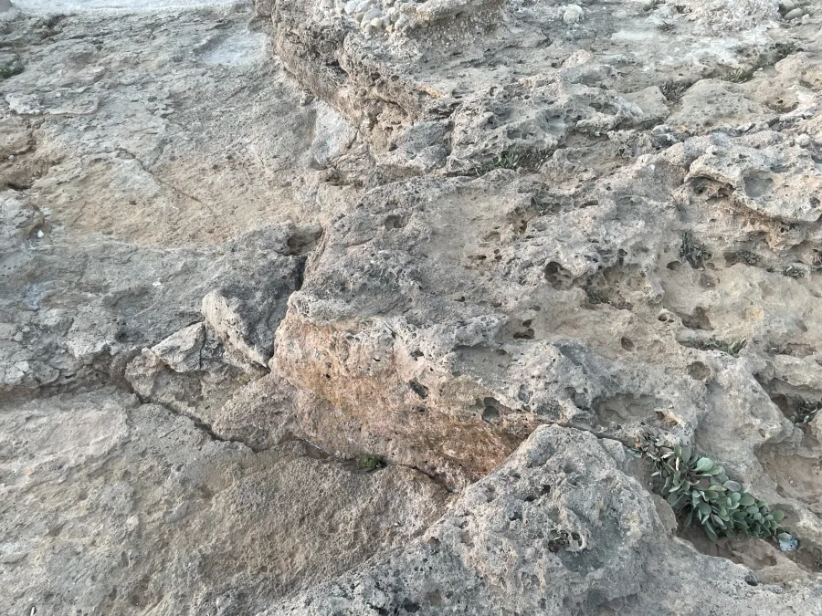 Libanon 2023 - IMG 3100